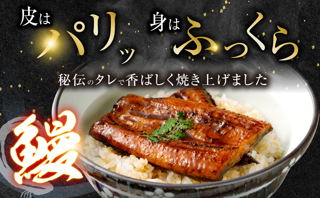 JS-224【3カ月定期便】 九州産うなぎ蒲焼 約170g×5尾×3回