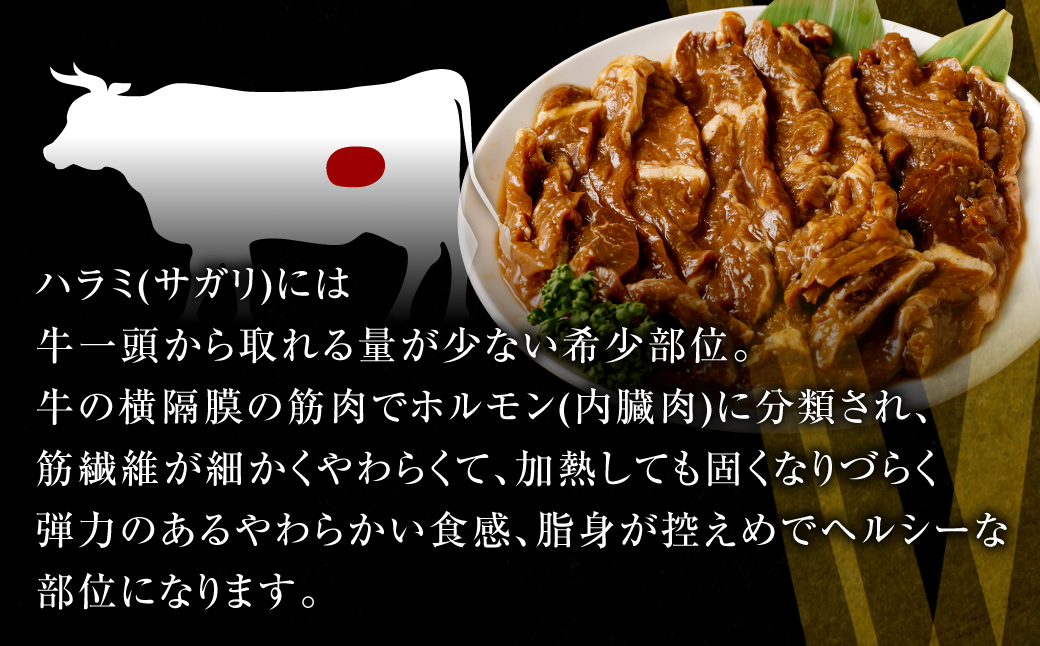 やわらか 牛ハラミ（サガリ）肉 極旨秘伝醤油タレ漬け 合計300g（300g×1袋）【訳あり】ハラミ 牛肉 ZS-553