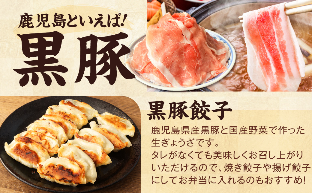 ZSR-696 【お楽しみ福袋A】鹿児島の美味しいが届く！３品以上