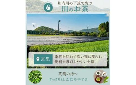 AS-431 崎原製茶 川内ほまれ【金】煎茶ティーバック 計36パック（6g×36パック）お茶 緑茶