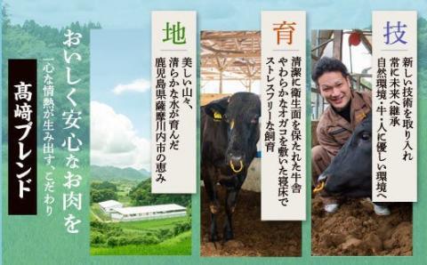 JS-303 鹿児島県北さつま高崎牛 詰め合わせ 【鹿児島県産黒毛和牛】