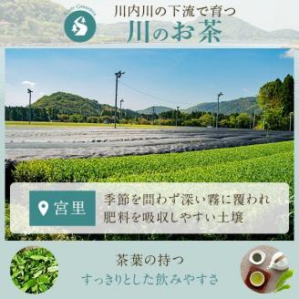 DS-303 崎原製茶 川内ほまれ【金】煎茶 計1kg（100g×10パック）お茶 緑茶