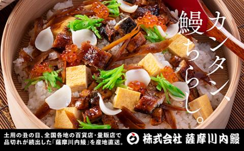 AS-143 九州産うなぎ蒲焼×1尾 + 国産きざみうなぎ ごぼう入り（タレ付き）×1袋 セット