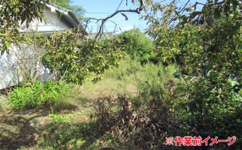 CS-020 草刈り代行ｻｰﾋﾞｽ 50坪以内