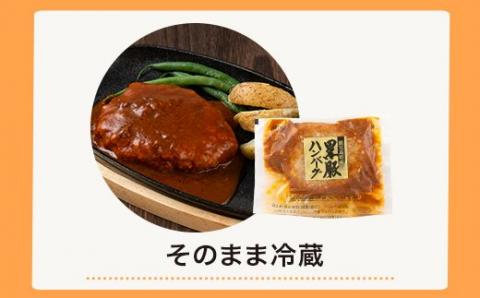 AS-029 鹿児島県産黒豚煮込みハンバーグ