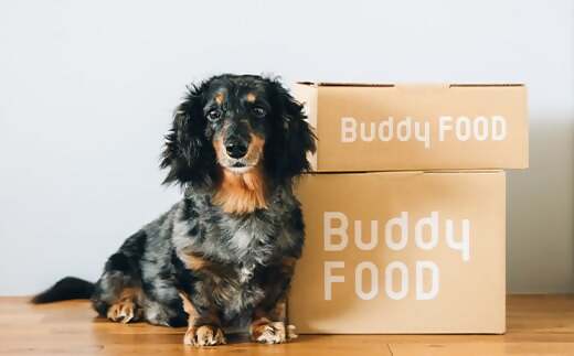 AS-2172 Buddy FOOD ヘルスケアプラス　早期腎臓サポートサバ・ケア×6パック 【バディフード】