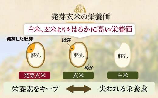 AS-355 発芽玄米 2kg(1kg×2袋)