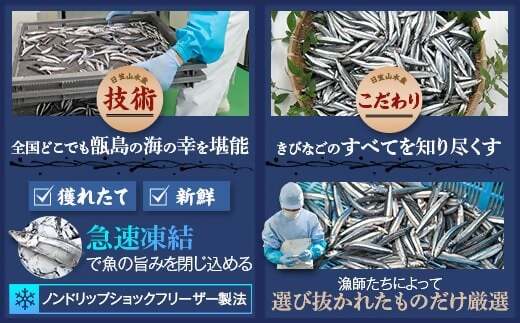 天然きびなご漁師漬け きびなご 漁師漬け 漬け丼 漁師 かごしま 薩摩川内市 ふるさと納税 AS-377