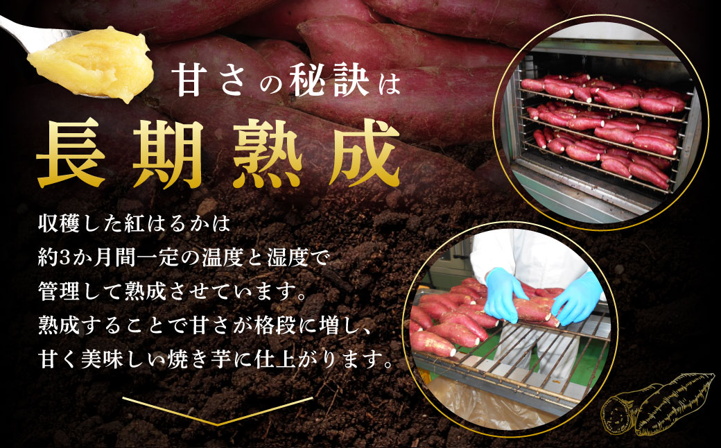 AS-403 鹿児島県産紅はるか冷凍焼き芋2.4kg（300g×8袋）