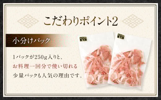 ASR-2165 鹿児島県産黒豚 大容量 小分け パック 切り落とし 2kg（250g×8パック） 黒豚 黒豚切り落とし 切り落とし 豚肉 ウデ肉 肩肉