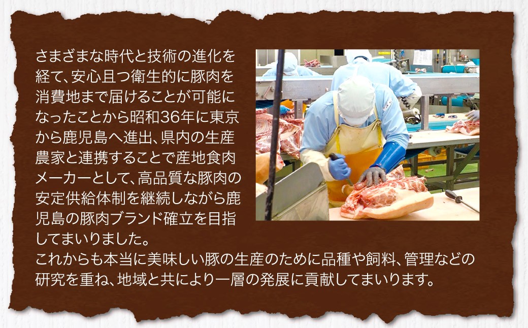 鹿児島県産 豚肉 切り落とし 合計4kg（500g×8パック）お肉 豚 肉 切り落とし肉 ASR-891-0 【2026年2月上旬以降順次発送予定】