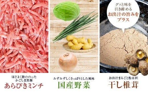 BS-820 【3回定期便】かごしま黒豚餃子 合計120個