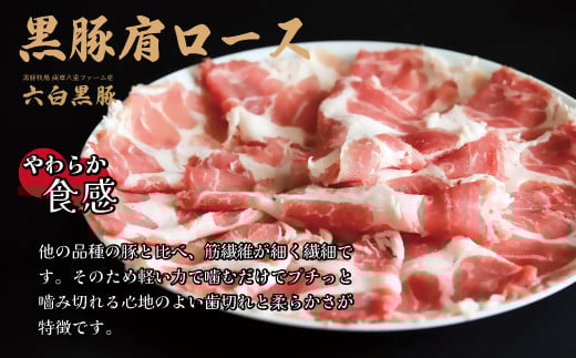 【10営業日以内発送】【お肉たっぷり（黒豚肩ロース）】 黒豚・黒牛しゃぶしゃぶ専門店SATSUMAの黒豚しゃぶしゃぶセット（4～6人前）　BSR-368-1-00