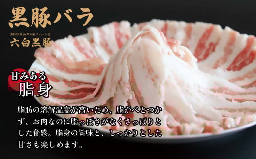 【10営業日以内発送】【お肉たっぷり（黒豚バラ）】 黒豚・黒牛しゃぶしゃぶ専門店SATSUMAの黒豚しゃぶしゃぶセット（4～6人前）　BSR-368-2-00