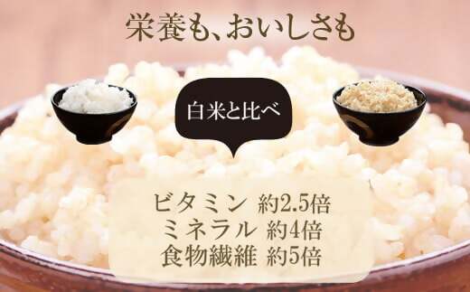 BSR-376 発芽玄米 4kg(1kg×4袋)