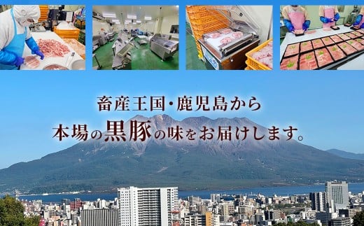 【ANA限定】【3回定期便】鹿児島県産 黒豚バラ しゃぶしゃぶ 合計2.4kg（800g×3回） 黒豚 豚肉 豚バラ 肉 お肉 CSA-614