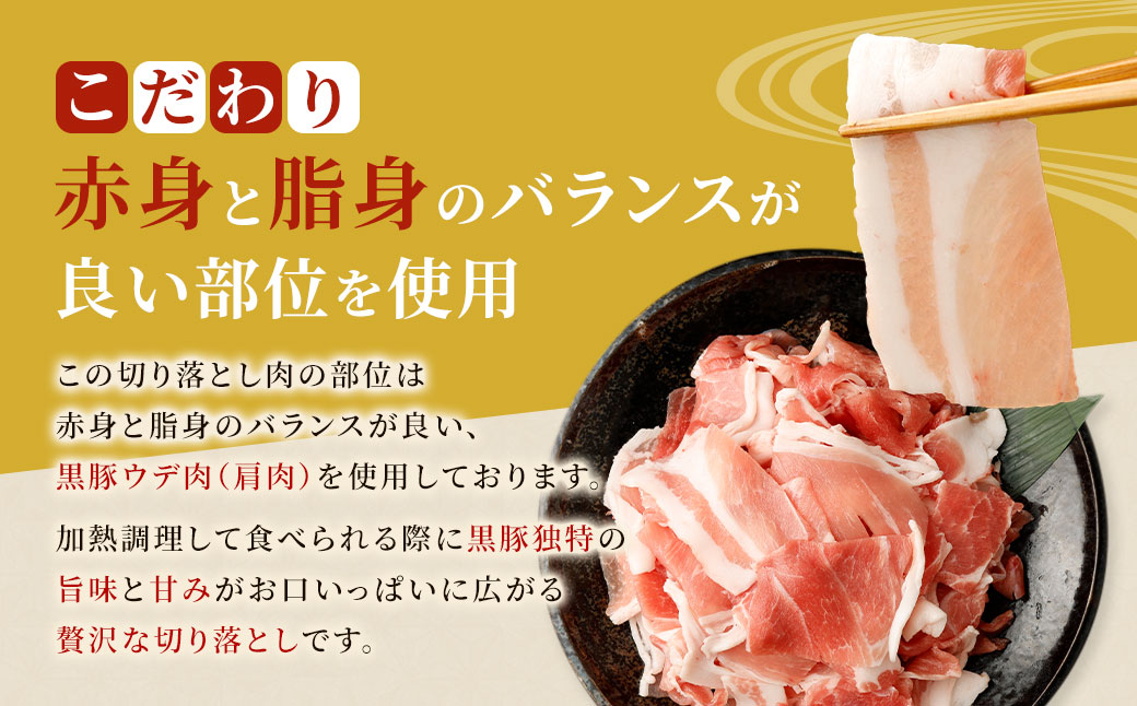 CSR-537 【隔月3回定期便】鹿児島県産黒豚 大容量小分けパック切り落とし 合計6kg（2kg×3回） 黒豚 黒豚切り落とし 切り落とし 豚肉 ウデ肉 肩肉