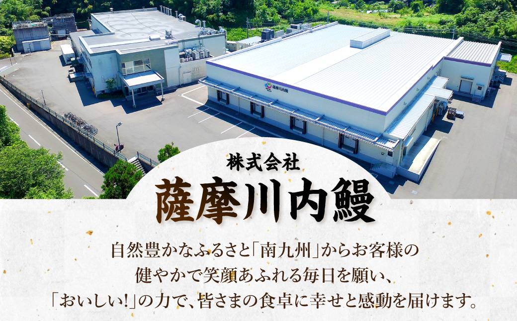 KS-103【12カ月定期便】 九州産うなぎ蒲焼（約170ｇ×2尾×12回）