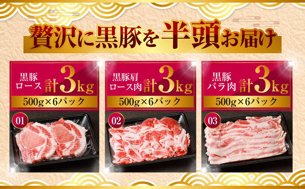 KSR-309 【隔月5回定期便】かごしま黒豚半頭 合計約22.5kg