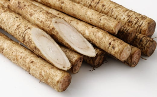 ZS-636 鹿児島県産 土付き ごぼう 約3kg【規格外・訳あり品】【2026年1月上旬～3月下旬発送予定】