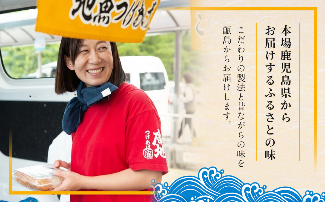 鹿児島の味 プリプリ食感のさつま揚げ 5種  さつまあげ つけあげ おつまみ ZSR-605