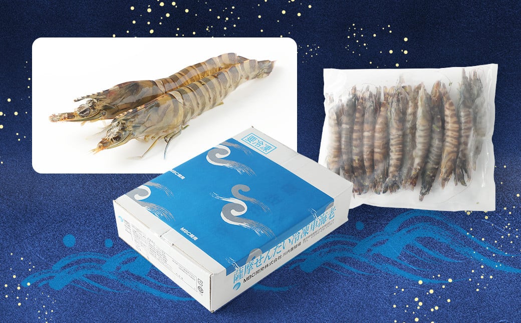 AS-746 冷凍車エビ(約1kg) (加熱調理用) 海老 車海老