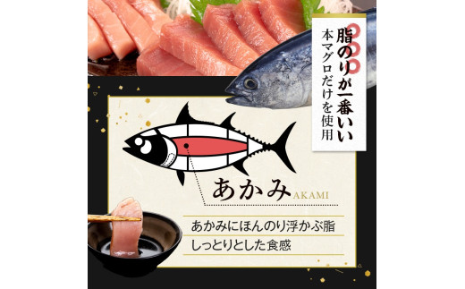 鹿児島県産本マグロ 大トロ＆赤身セット 合計400g