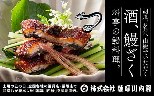 BSR-338 九州産うなぎ蒲焼 3尾 食べごたえある3人前