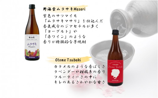 蔵元セレクション・鹿児島の本格焼酎 720ml×12本セット 芋焼酎 麦焼酎 祁答院蒸溜所 HSR-003