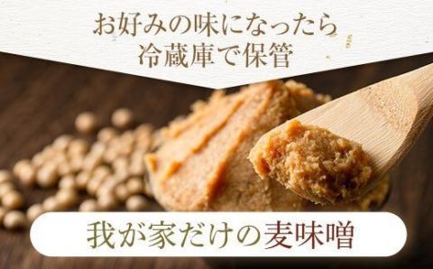 AS-130 育てる麦味噌 ｢でけたはな｣ 計4kg(2kg×2)