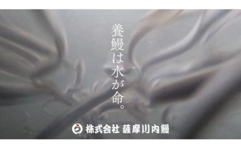 ZS-614 うなぎ肝の佃煮缶詰 60g×2個