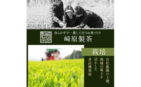 BS-013 崎原製茶 川内ほまれ【紫】煎茶 計300g（100g×3パック）お茶 緑茶