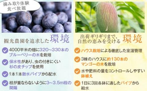 AS-338 【数量限定】ブルーベリー＆マンゴー果汁ジュース 1080g（180g×各3本）ｾｯﾄ (S-13)