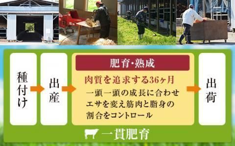 JS-212 鹿児島県産黒毛和牛しゃぶしゃぶ 1.5kg(750g Aｾｯﾄ×2) 名産鹿児島和牛かんだ本店