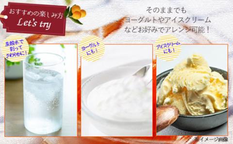 ZS-607 ジュわっとジューシーきんかんの甘露煮 3袋