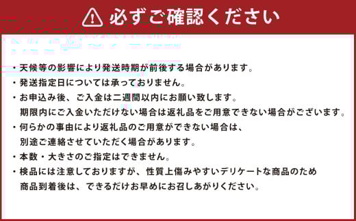 AS-075 鹿児島県産 土付き ごぼう 約5kg【規格外・訳あり品】【2026年1月上旬～3月下旬発送予定】