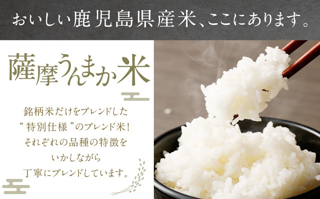 鹿児島県産 銘柄米 ブレンド 薩摩うんまか米 5kg ブレンド米 白米 米 お米 おこめ 【2026年1月下旬以降順次発送】 AS-2240