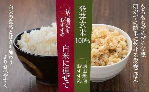 AS-355 発芽玄米 2kg(1kg×2袋)