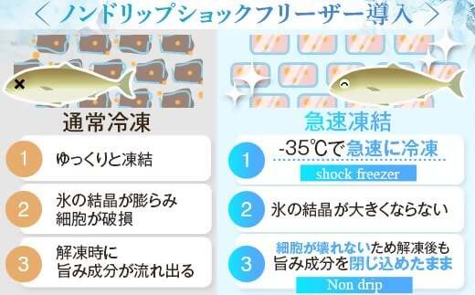 天然きびなご漁師漬け きびなご 漁師漬け 漬け丼 漁師 かごしま 薩摩川内市 ふるさと納税 AS-377
