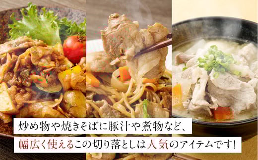 ASR-2165 鹿児島県産黒豚 大容量 小分け パック 切り落とし 2kg（250g×8パック） 黒豚 黒豚切り落とし 切り落とし 豚肉 ウデ肉 肩肉