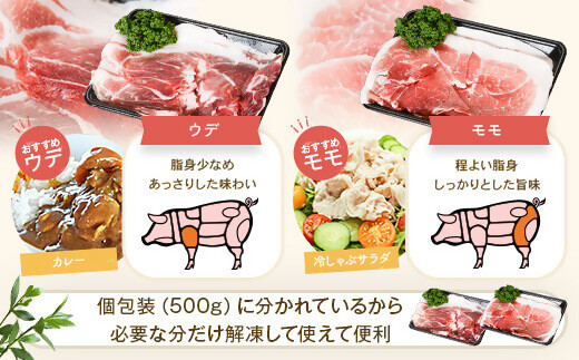 【訳あり】黒豚農場薩摩八重ファームのかごしま黒豚切り落とし（ウデ・モモ） 2kg SDGs未来都市薩摩川内 ASR-587