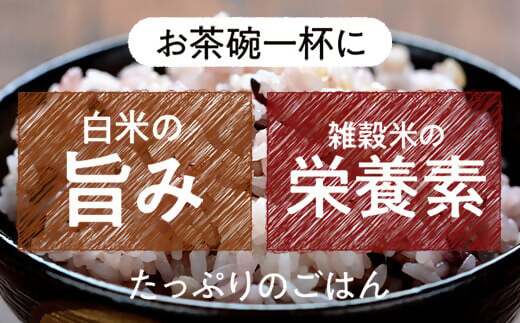 BSR-377 雑穀米セット 五ﾂ星お米マイスター厳選!