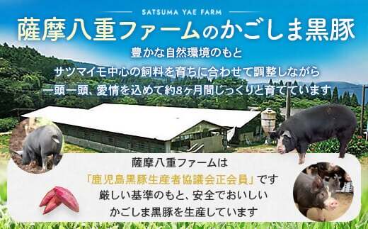 CS-217 かごしま黒豚バラ肉しゃぶしゃぶ用 500g×隔月3回定期便