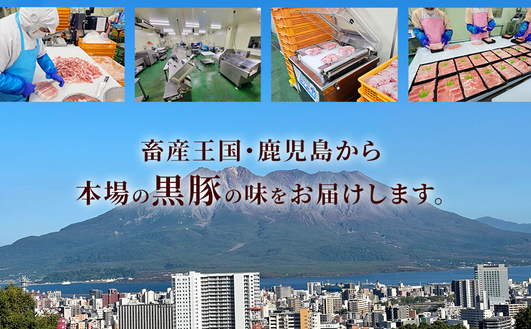 JS-810 【6ヶ月定期便】鹿児島県産黒豚 6種詰合せ(約2.8kg×6回)