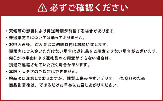 ZS-636 鹿児島県産 土付き ごぼう 約3kg【規格外・訳あり品】【2026年1月上旬～3月下旬発送予定】