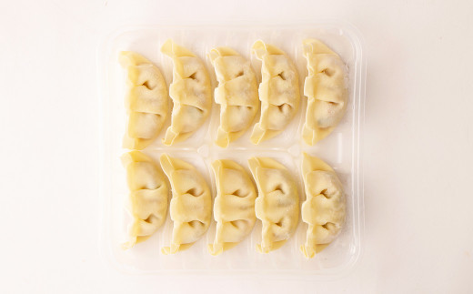 Z-814 鹿児島 生ぎょうざ70個セット 餃子のたれ付き