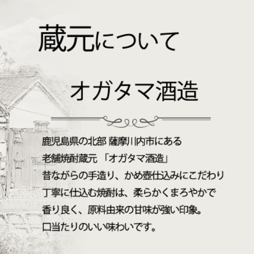 GS-502 【ふるさと納税】【限定品】鹿児島産 芋焼酎 1800ml×6本セット 時を越えて(25度) オガタマ酒造の限定品 販売店限定銘柄 酒 焼酎
