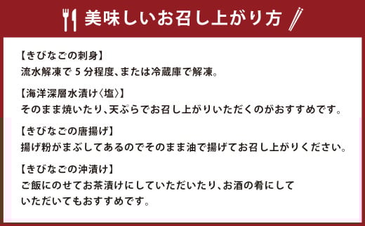 こしき島からの贈り物 甑の海 満喫セット