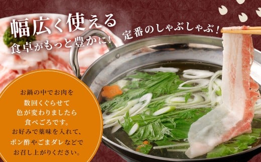 【6回定期便】鹿児島県産 黒豚バラ しゃぶしゃぶ 合計4.8kg（800g×6回） 黒豚 豚肉 豚バラ 肉 お肉 GS-207