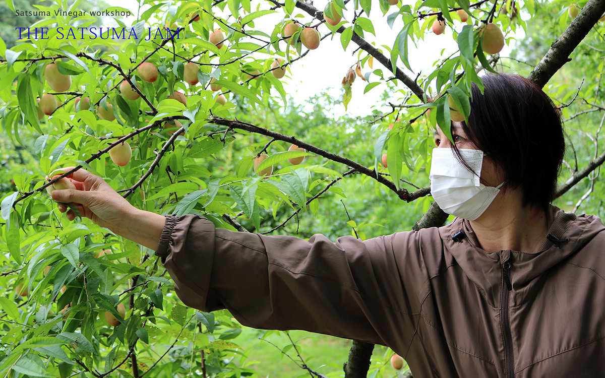 ZS-704【THE JAM】無添加・旬のHand Made『からだ想い』ジャム3本セット